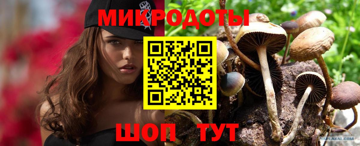 Псилоцибиновые грибы прущие грибы Тельмана